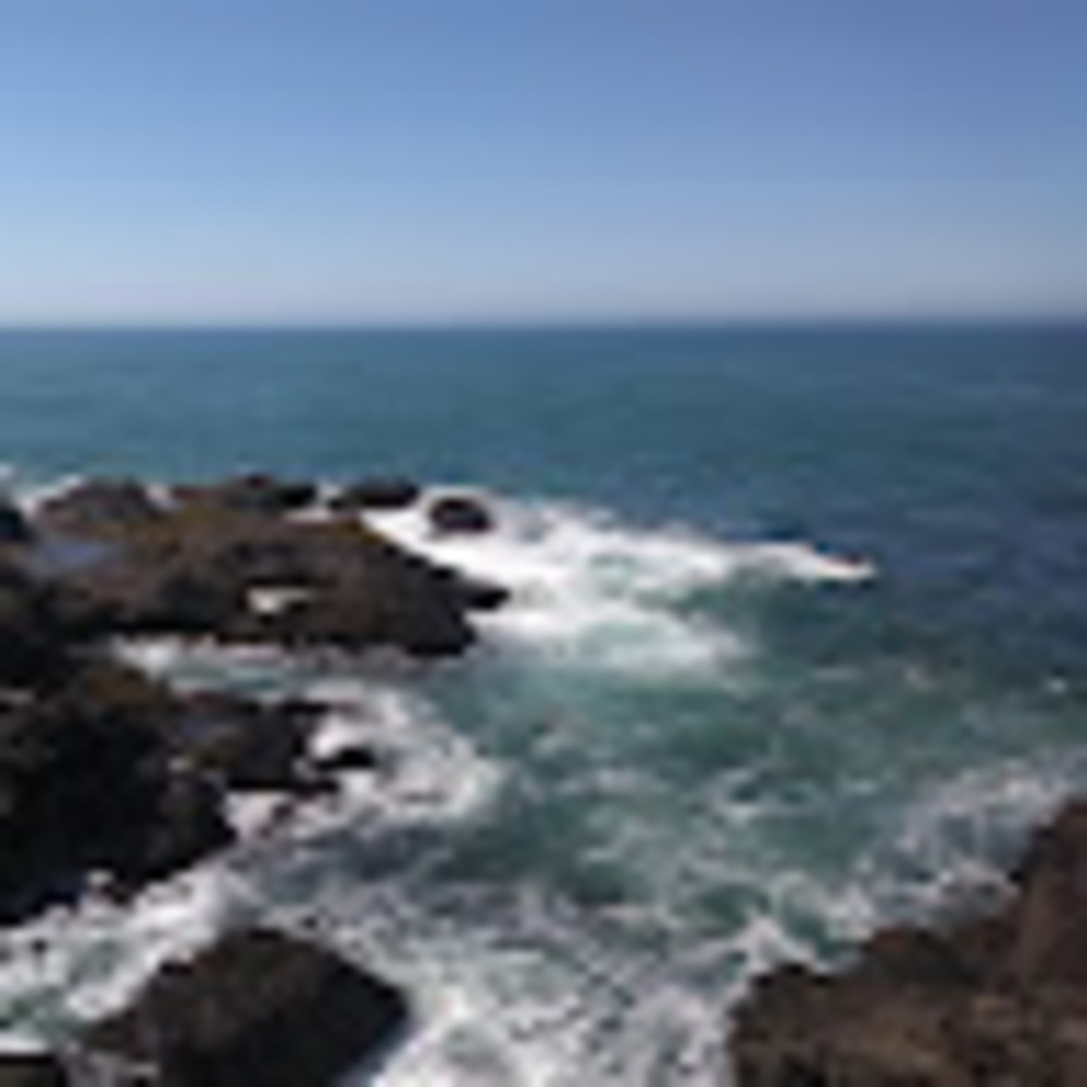 Meet your Posher, Paige